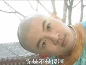 容嬷嬷表情包表情