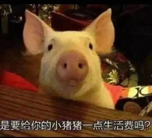 撒娇必备表情包丨会撒娇的人最好命