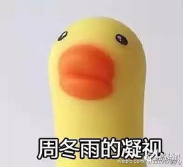 蔡依林的怼人周冬雨的凝视......明星用起表情包也是6到飞起