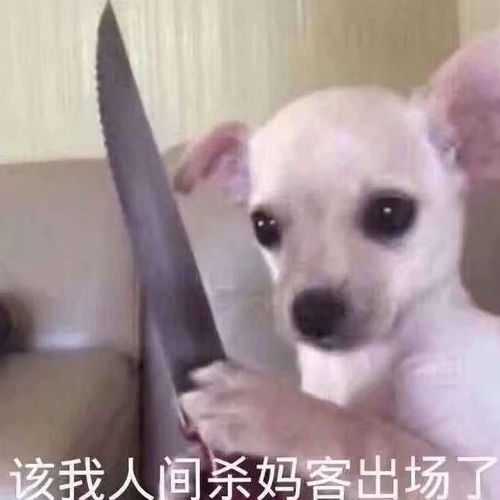 花栗鼠表情包情侣情人节