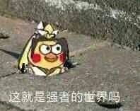 新人更适合去哪一个网站写文