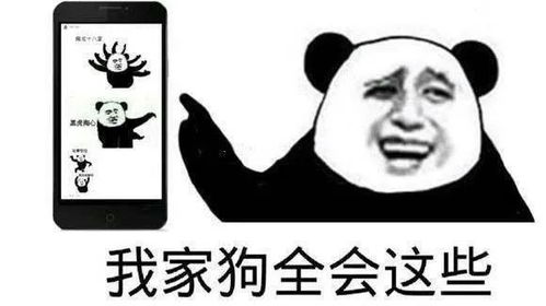 你复杂的五官掩饰不了你朴素的智商