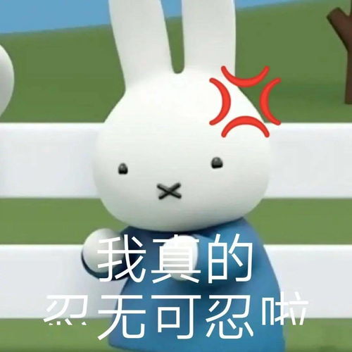 舒舒服服表情包米菲兔