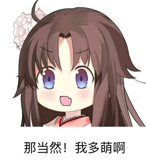 程序员忽悠女朋友玩gal