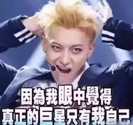 吐槽大会表情包们都来了我比较期待尔康