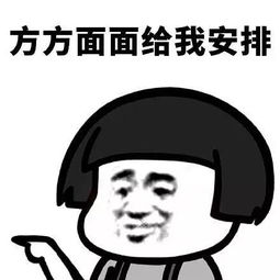 表情包丨安排系列