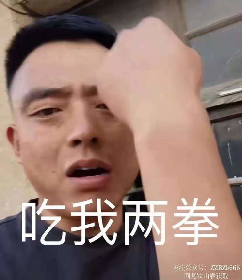 起来吧朕的籽岷表情包陇山