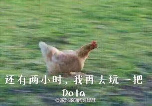 行走的cd,被天使吻过的声音,为何走上电竞道路