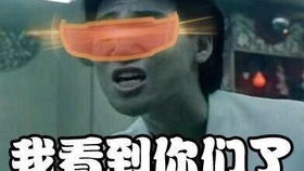 什么全明星都是老司机