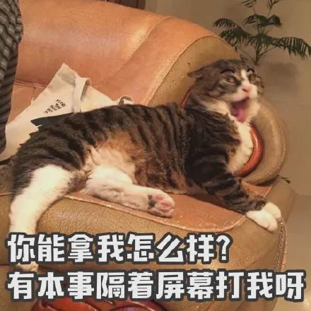 老阳被告连发7天道歉,到底谁赢了