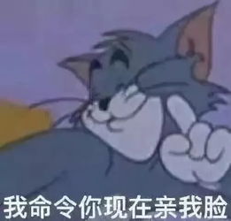 坑爹图片表情包猫和老鼠