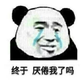 熊猫表情包我决定今天要早睡