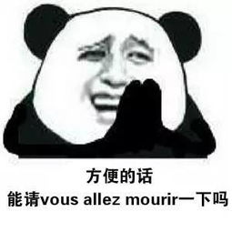 法语生斗图专用表情包第三弹