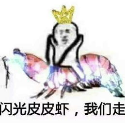 皮皮虾我们回去表情包