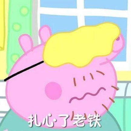 教育培训掉陷阱南都帮你跑腿解难