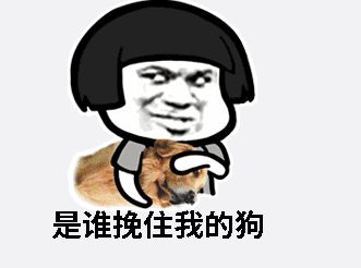 抖音跪拜表情包我要