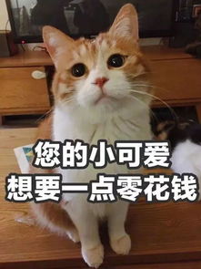 话题双十一刺激战场即将开始,全军出击