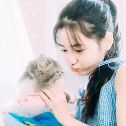 难以置信丢在地上没人要的银杏果,竟然有如此作用