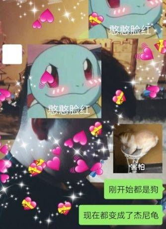 骂情侣的表情包杰尼龟