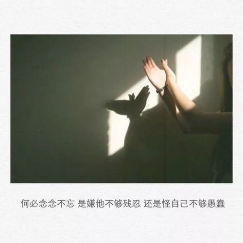 你是我关了灯才能拥有的梦