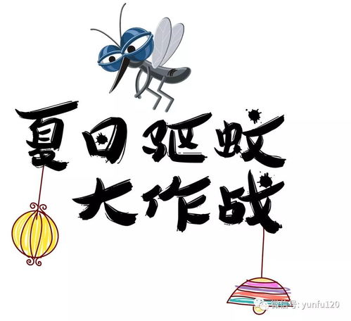 北方妈妈带娃vs南方妈妈带娃原来有这么大区别