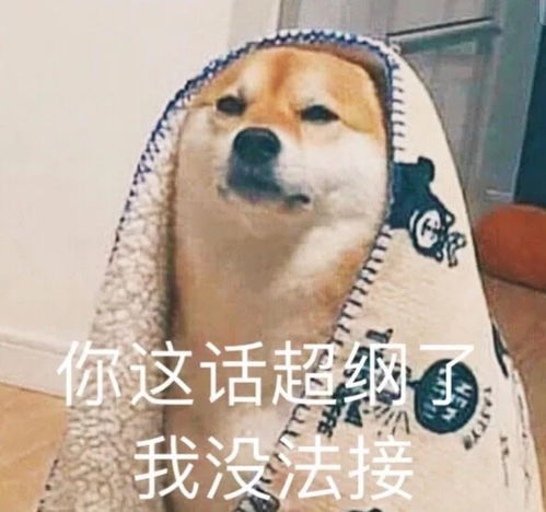 急急急这是哪个大学啊