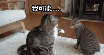 天津相声广播我可能集的是假五福