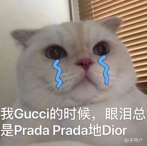 有哪些便宜好用的化妆品适合学生党的求安利