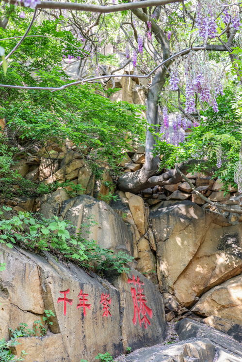 山东小众避暑好去处人少景美还隐藏着世界第一锡青铜坐佛