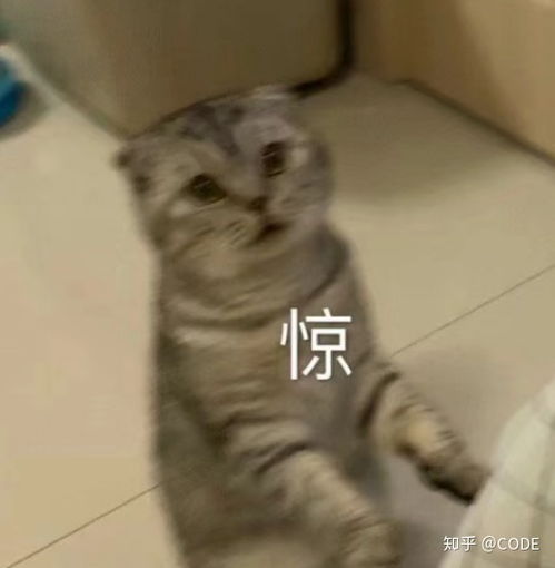 没带电脑回家的计算机学生怎么办