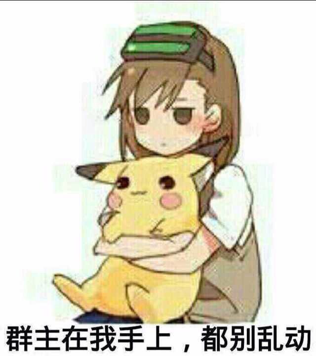 比卡丘炮妹都别动..群主..在这...zi堆糖,美好生活研究所