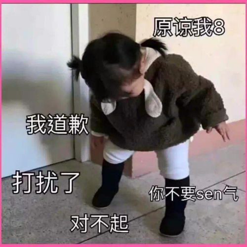 哄女朋友专用表情包你说你没女朋友先收藏着嘛,万一有了呢