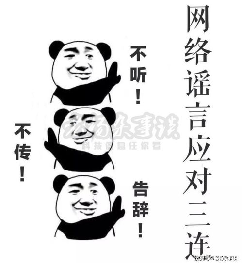 微软xbox翻译错误,导致玩家们一瞬间从兴奋到失望,情绪起伏堪比坐过山车