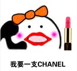 你还不给小仙女买口红吗高清无水印表情包