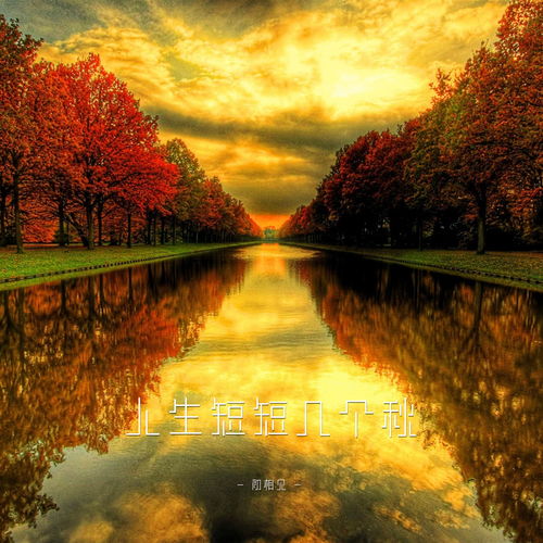 人生短短几个秋初相见高音质在线试听人生短短几个秋歌词歌曲下载酷狗音乐