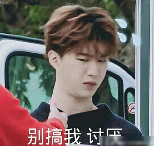 潮流合伙人发布会奶酷的范丞丞,撒野开机在即,表情包大户
