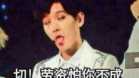 大型搞鹅现场终于找到这个表情包的出处了哈哈哈哈哈哈哈哈
