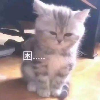 搞笑沙雕表情包让我爱他