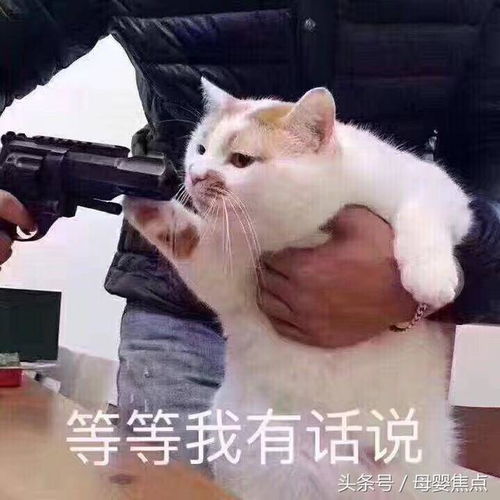 晒娃的同时,如何当好奶爸奶妈