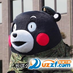 熊本熊减肥表情图片熊本熊减肥表情包高清无水印版