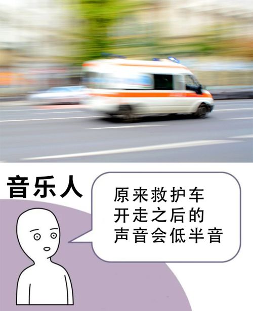 能看懂这些表情包,你一定是音乐人没跑了