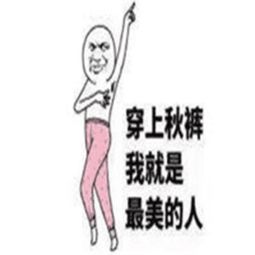冷冷冷怕冷嚟广州开会啊