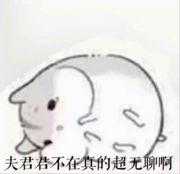 求这个表情包全部夫君君和小娘子