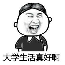 最后一次靠才华表情包