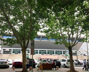 就读北航32留学,成就最美好的自己