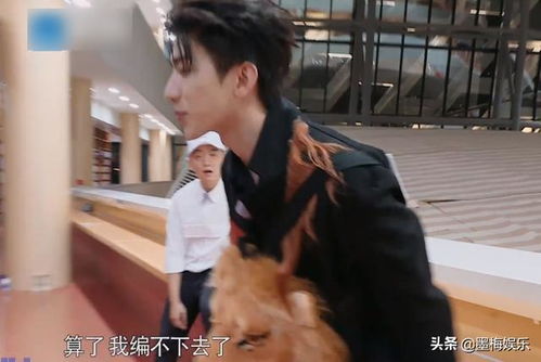 陈飞宇惊喜加盟跑男,蔡徐坤想蒙混过关,被郑恺一眼识破