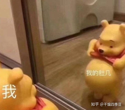 2020年最新动感单车选购攻略,动感单车品牌推荐,动感单车怎么骑动感单车减肥效果如何10月更新