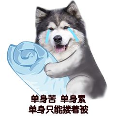 别再追我了表情包一条狗