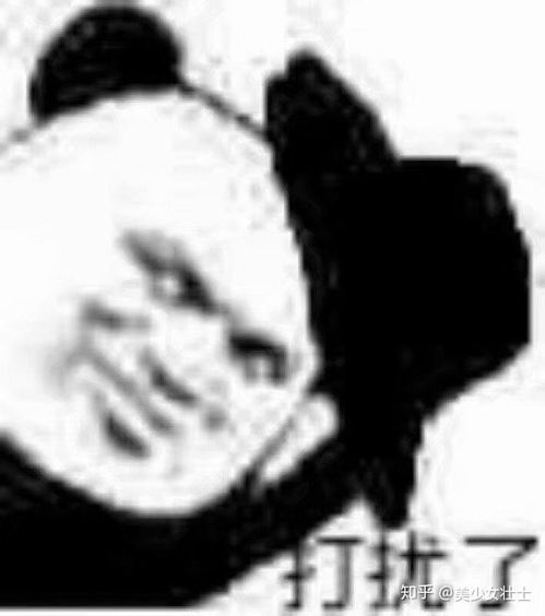 时尚潮流视频表情包榨菜