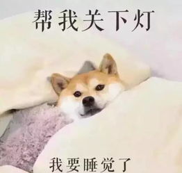 真正的品质生活,不一定多花钱